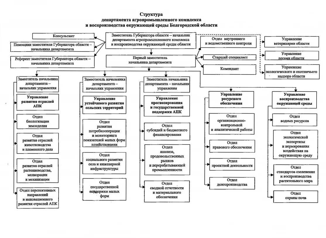 Структура организаций контрольная работа. Структура министерства апк белгородской области. схема структуры апк белгородской области. структура министерства. структура департамента.