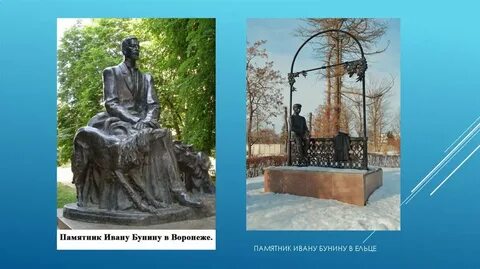 Бунин елец