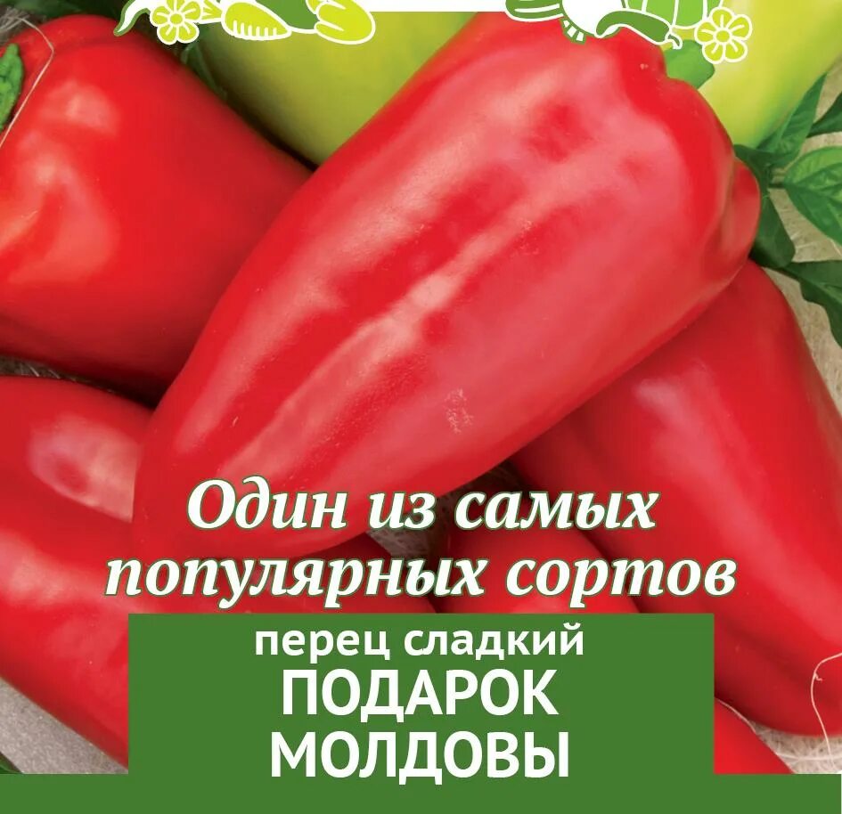 Подарок молдовы описание сорта. Перец сладкий сорт молдова. перец сладкий подарок молдовы характеристика и описание. болгарский перец сорта подарок молдовы. перцы молдавские сорта.