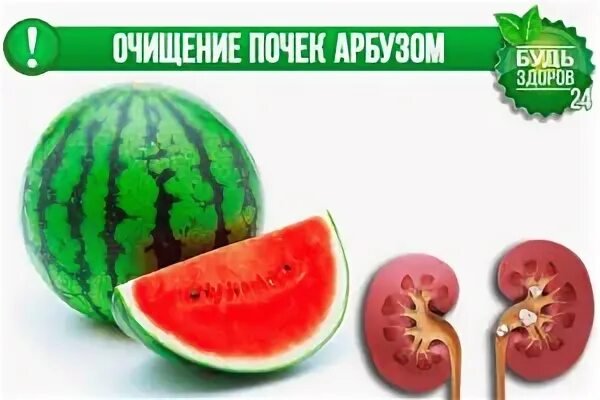 Арбуз для почек. Чем полезен арбуз для почек. Арбуз польза и вред. Вред арбуза. Полезные качества арбуза.