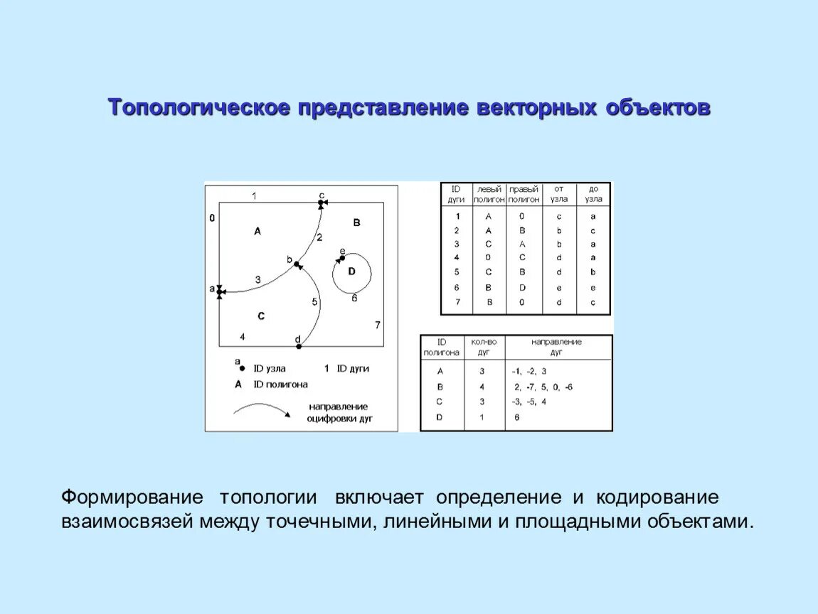 Элементы пространства представления. Топологическое векторное представление. векторная топологическая модель. ) векторно-топологическое представление данных. топологические представления это.