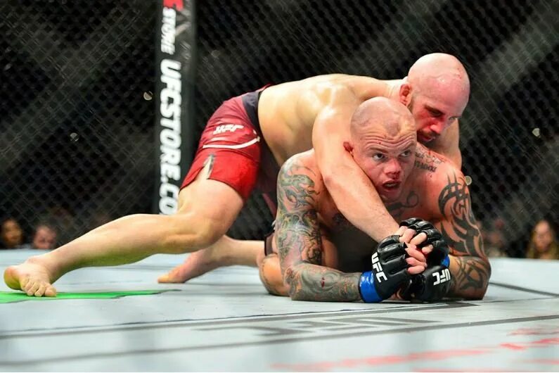 Ufc афиша. Алистар оверим фабрисио вердум. Ufc вегас 63 кард. Сэм алви. Результаты ufc.