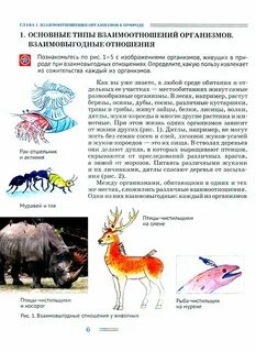 Взаимоотношения животных наука
