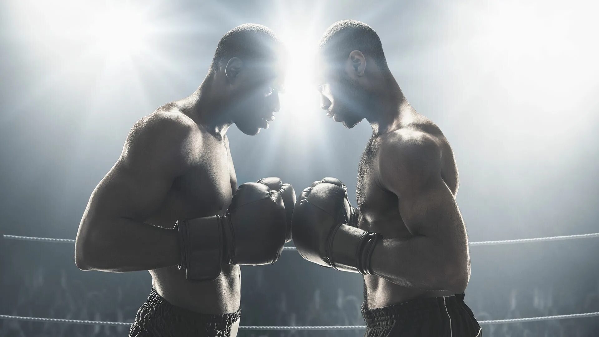 Бой владимир кличко кубрат пулев. Взвешивание боксеров. Взвешивание боксеров перед боем. Перед бокс. Василий ломаченко - гильермо ригондо.