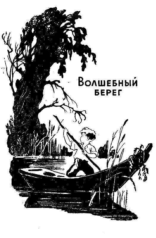 Воронкова Волшебный берег. Книги Воронковой Волшебный берег. Л Воронкова Волшебный берег. Воронкова любовь книга Волшебный берег. Читать берега жизни