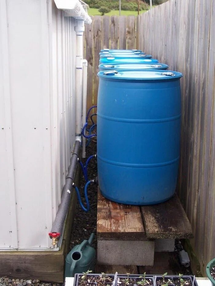 Бочку другую с водой. Бак система сбора дождевой воды. Дождевая бочка Rain Barrel. Системы бочек для сбора дождевой воды. Бочки для сбора дождевой воды на даче.