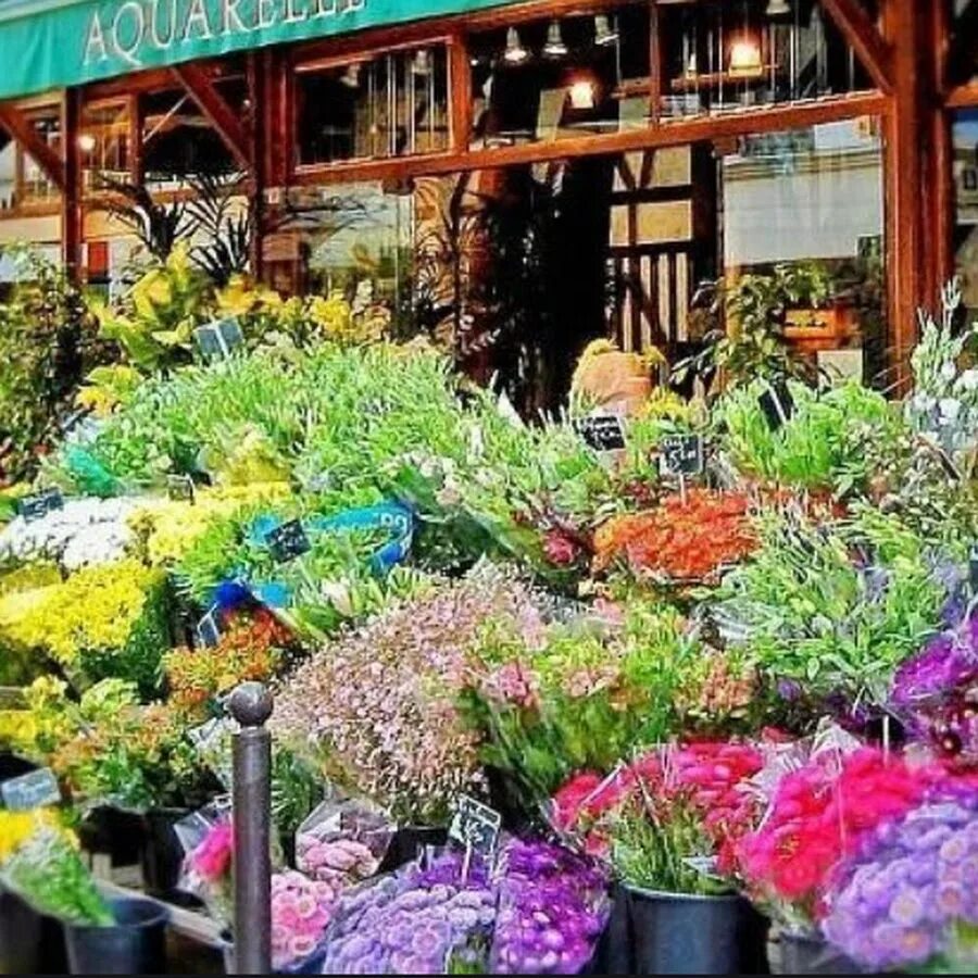 Остановка цветочный магазин. Цветочная Лавка Париж. Цветочный магазин. Магазин цветов во Франции. Цветочный магазин во Франции.