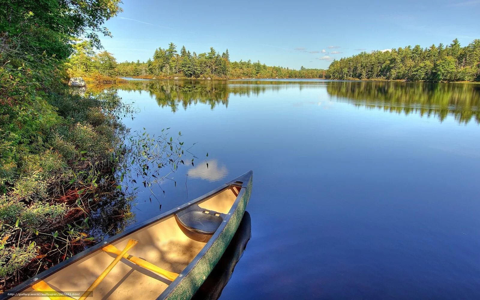 Пруд лодка. Пруд лодка. Лодка на пруду. Лодка на пруду. Лодка деревянная на водоёме.