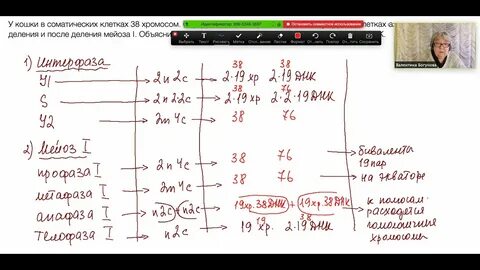 Задачи 27 егэ биология