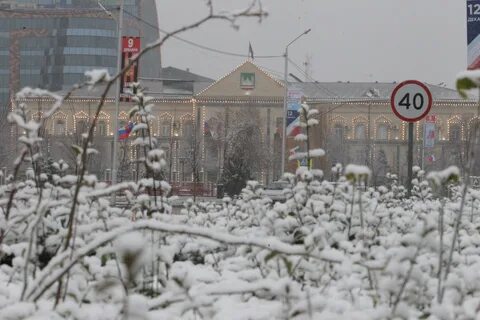 Погода в грозном в ноябре 2024