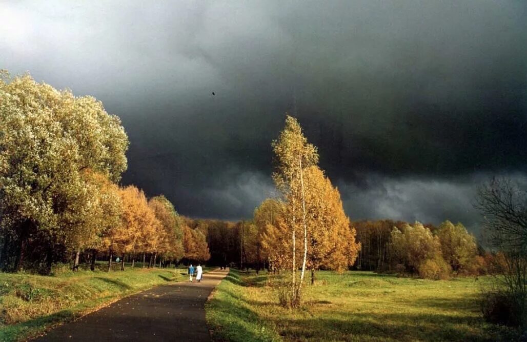 Перед дождем болит. Хмурое осеннее небо. Хмурая осень. Пасмурная осень. Осенняя гроза.