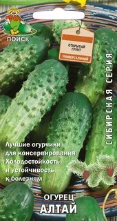 Огурцы семена алтая лучшие сорта
