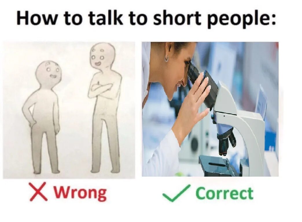 How talk to short people. How to talk with short people meme. How to talk to short people meme. How talk to short people meme. Short memes