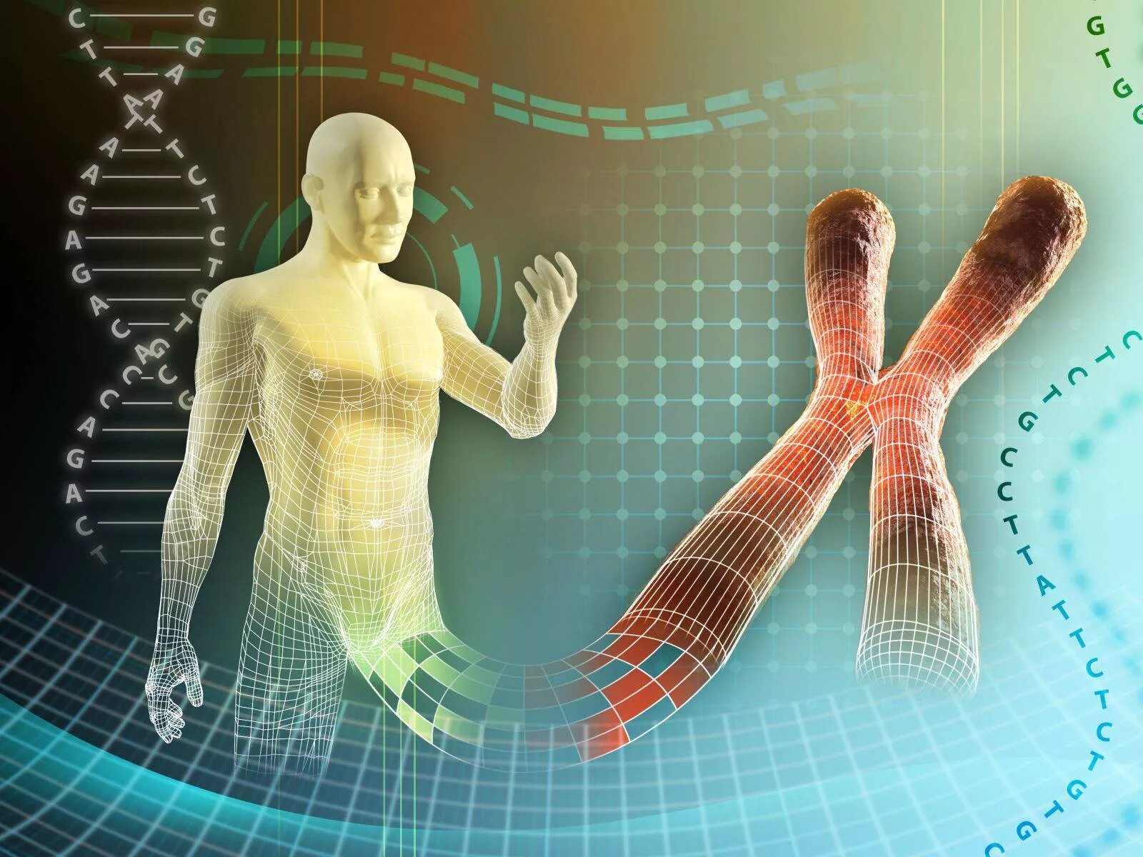 Наследственные аномалии человека. Генетика. Генетика и наследственные болезни человека. ДНК человека. Геном человека.