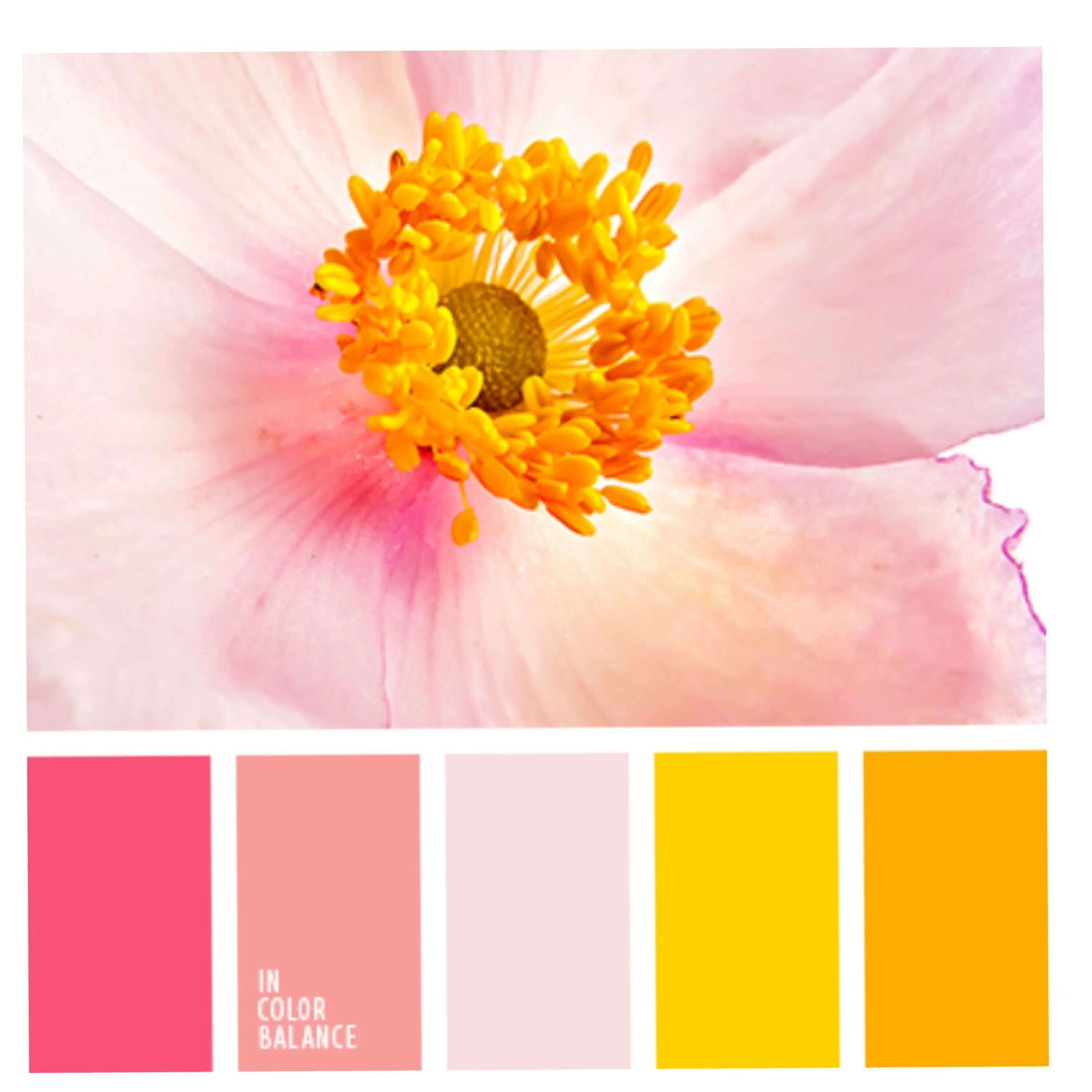 Весенняя палитра цветов. Красивые сочетания цветов. Палитра розовый желтый. Color palitra сочетание. Яркие теплые цвета.