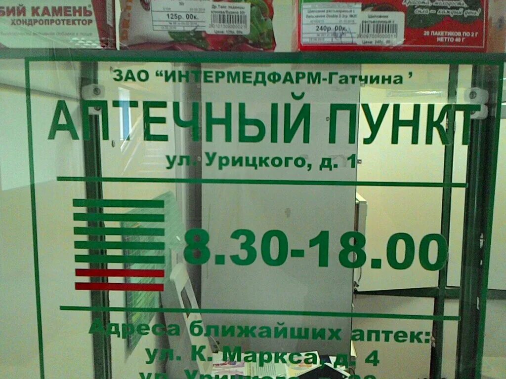 работа гатчина ежедневная