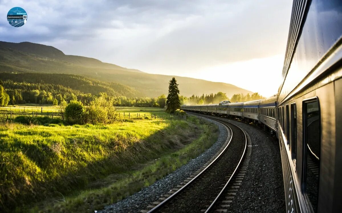 Жд лето. Сосновый лес железная дорога запрудня. Железная дорога закат. Пейзажи железной дороги. Спокойное чёрное жд лето.