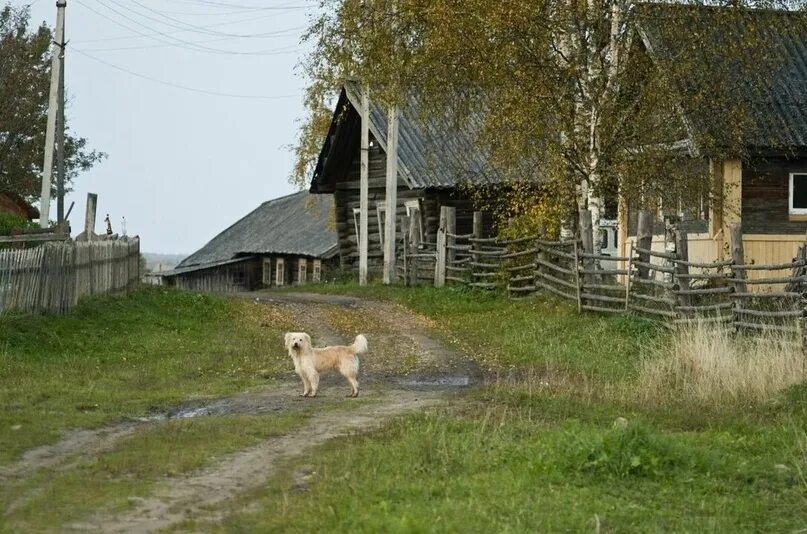 Деревня погулять. Деревня Опихалино Вологодской области. Деревня Уваровица Вологодская область. Левоча деревня Вологодская область. Вологда деревня Опихалино.