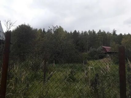 Погода в пласкинино