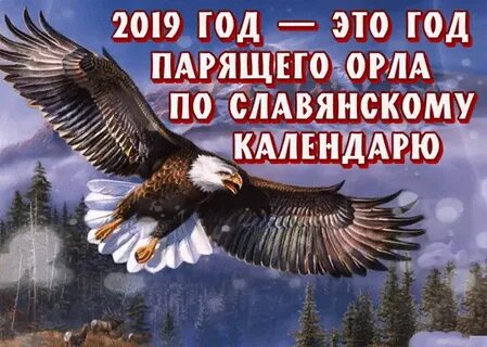 Есть год орла