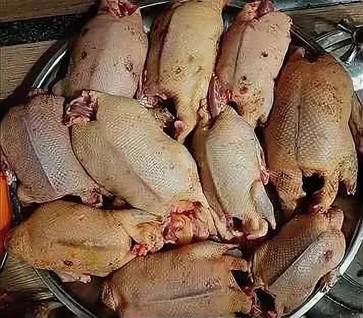 Тушка дикой утки. Утка тушка. Утка тушка. Утка тушка. Тушка дикой утки.