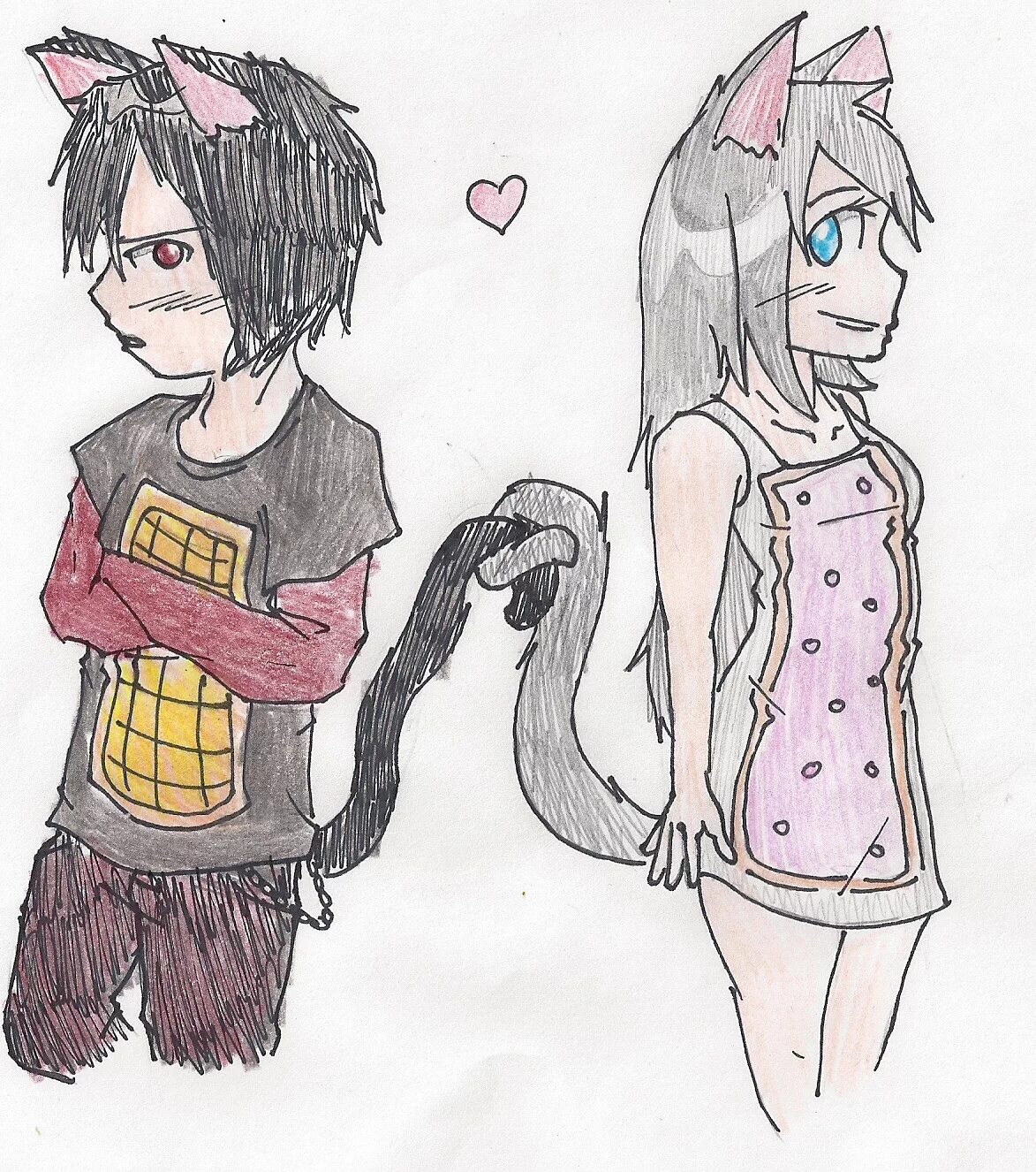 Коты воители в хуманизации. Кот чешир аниме. Нян кэт и тэк нян аниме. Нянь кэт и тэк нян любовь. Бич коты воители хуманизация.