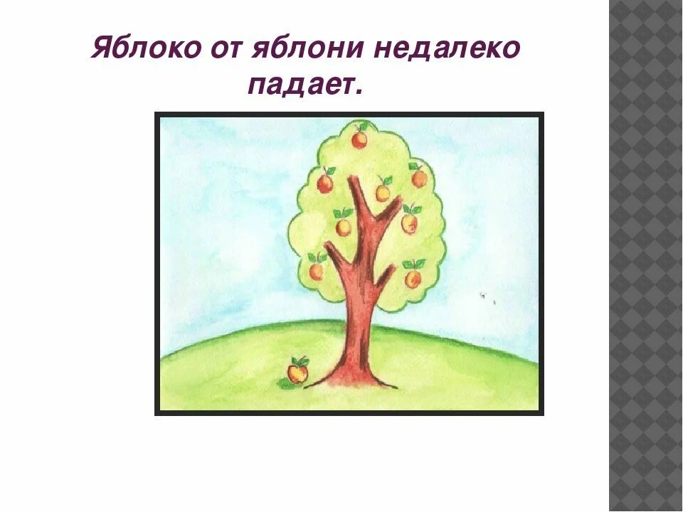 Пословица яблоня от яблони недалеко падает. Яблоко от яблони недалеко падает. Рисунок к пословице. Рисунки на тему поговорки. Пословица яблоко от яблони недалеко падает.