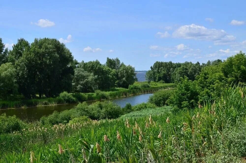 Верхне приволжская