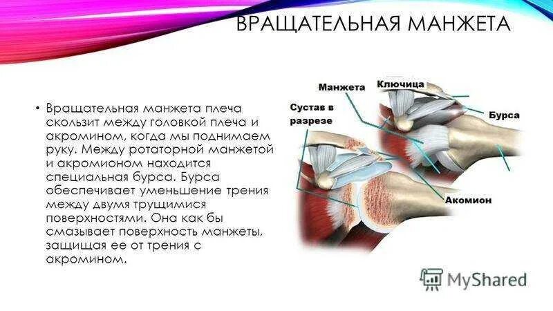 Вращательная манжета плечевого сустава мышцы. Ротаторная манжета плечевого сустава сухожилия. Повреждение ротаторная манжета. Повреждение ротационной манжеты плечевого сустава.