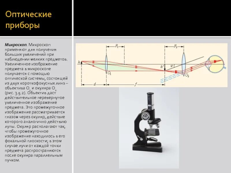 Из каких приборов состоит оптическая система микроскопа. Из каких приборов состоит оптическая система микроскопа