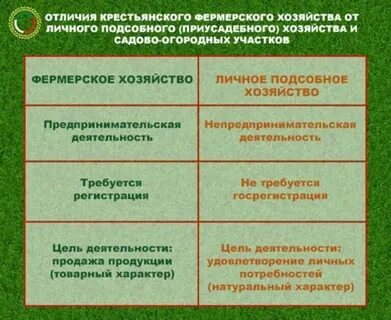 Кфх плюсы и минусы