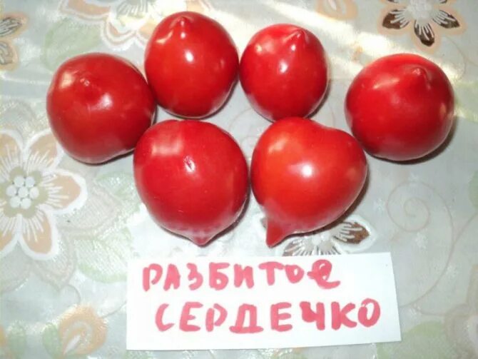 Томаты разбитое сердце описание сорта. Томат разбитое дробленое сердце. томат сердцевидный. томат дробленое сердце. томат сердце ангела.