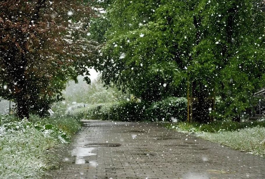 Летний снег. Снег летом. Летний дождь. Летом идет снег. Снег с дождем природа.