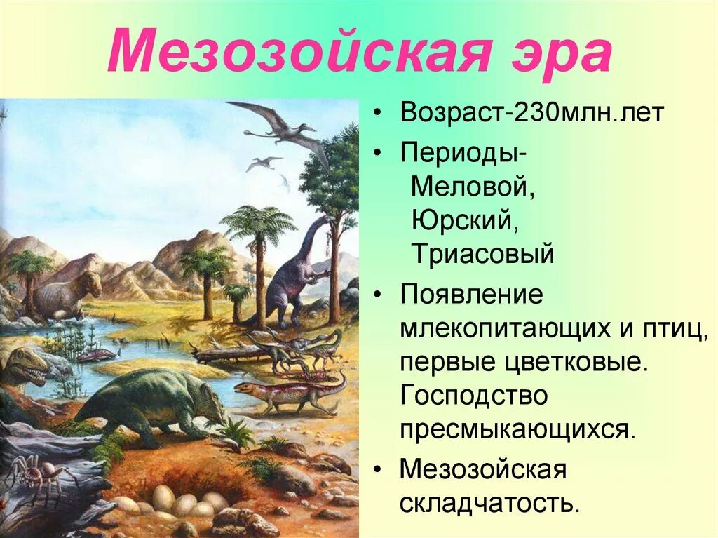 Мезозойская эра изменения