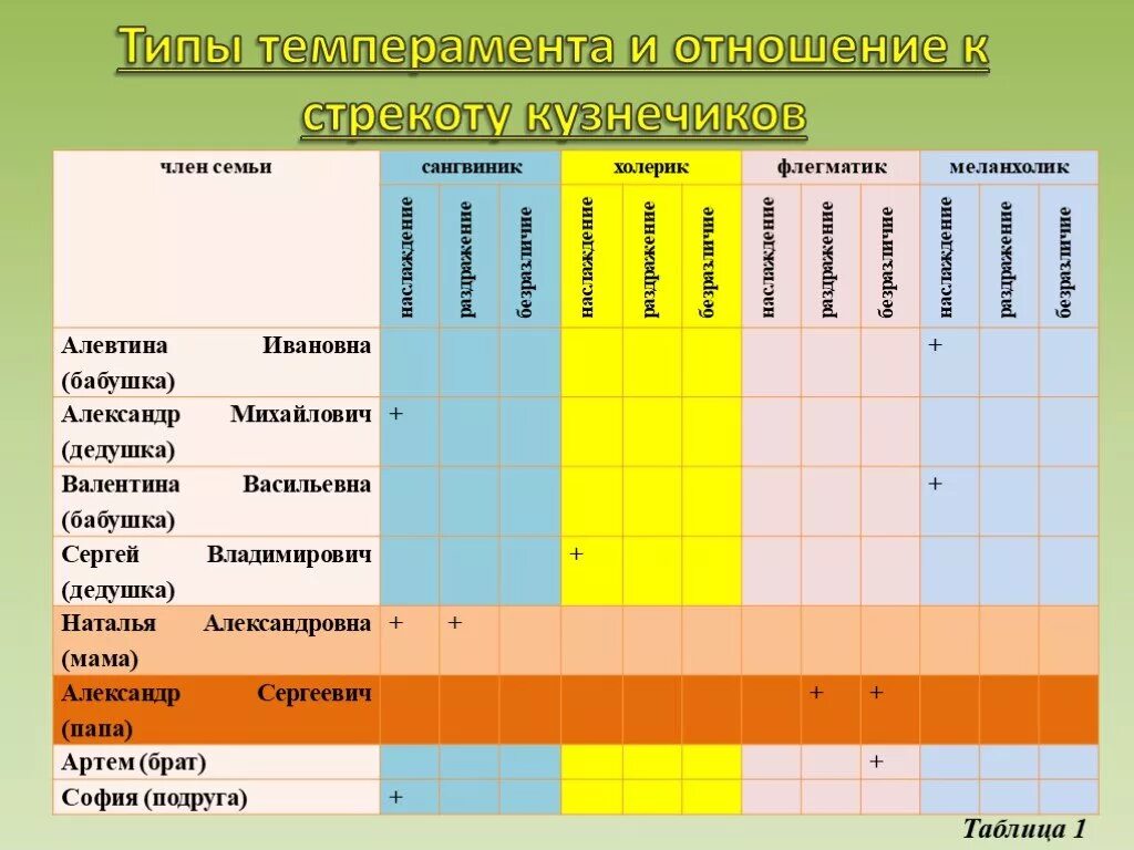 Какие темпераменты совместимы и почему