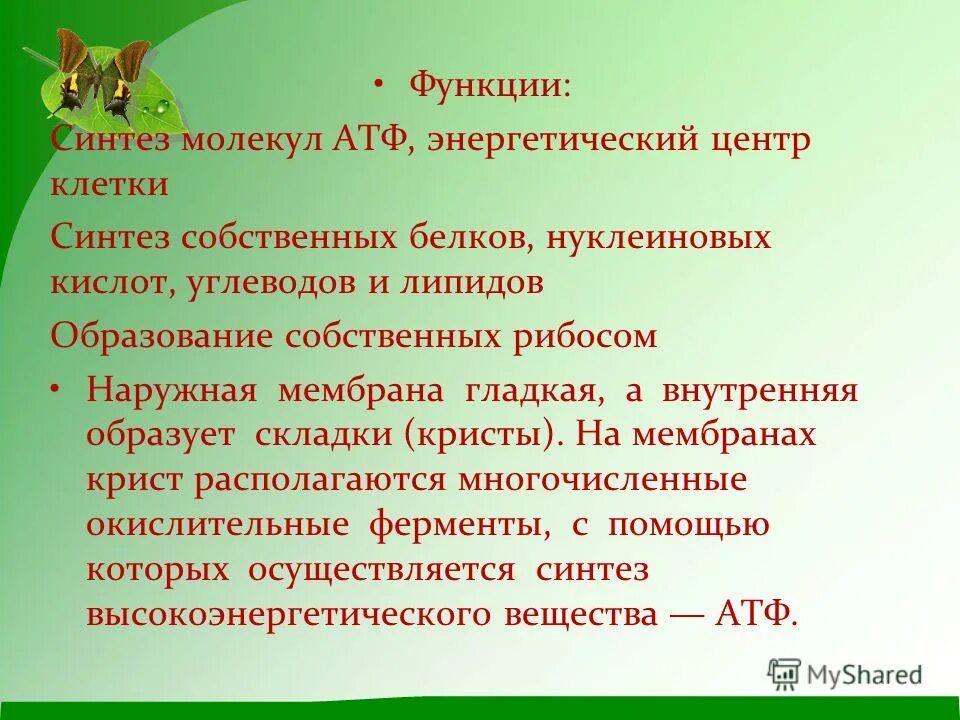 Синтез функций. Безналичное денежное обращение. Функции печени синтез. Синтез функций. Нематричный синтез.