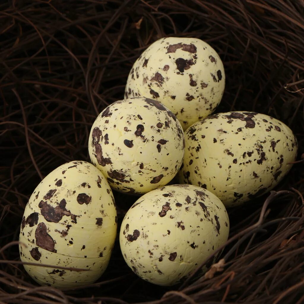 Пестрые яйца. Пятнистые яйца. Пятнистые яйца птиц. Маленькие пятнистые яйца.