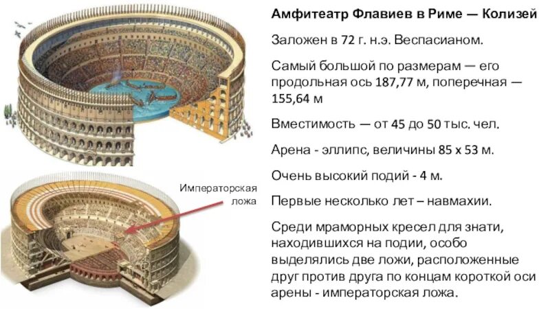 Колизей (амфитеатр Флавиев) в Риме. 75—82 Гг. н. э. общий вид.. Амфитеатр Флавиев в Риме (Колизей). 75–80 Гг.. Амфитеатр древнего Рима чертеж. Амфитеатр Флавиев Колизей с планом.