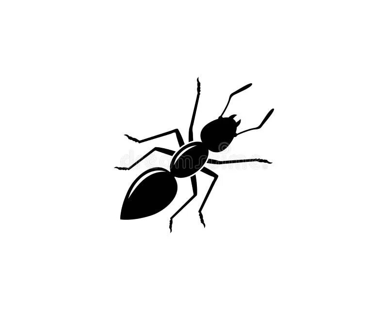 Ant design icons