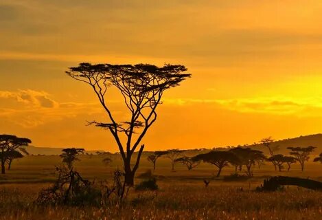 Africa but