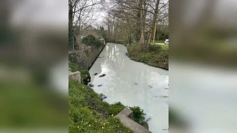 Из чего были берега у молочной речки