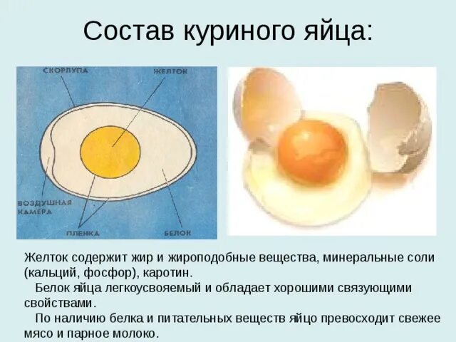 Желток прилагательное. Белок яйца. Белок и желток в яйце. Белок куриного яйца. Белок куриного яйца содержится в.