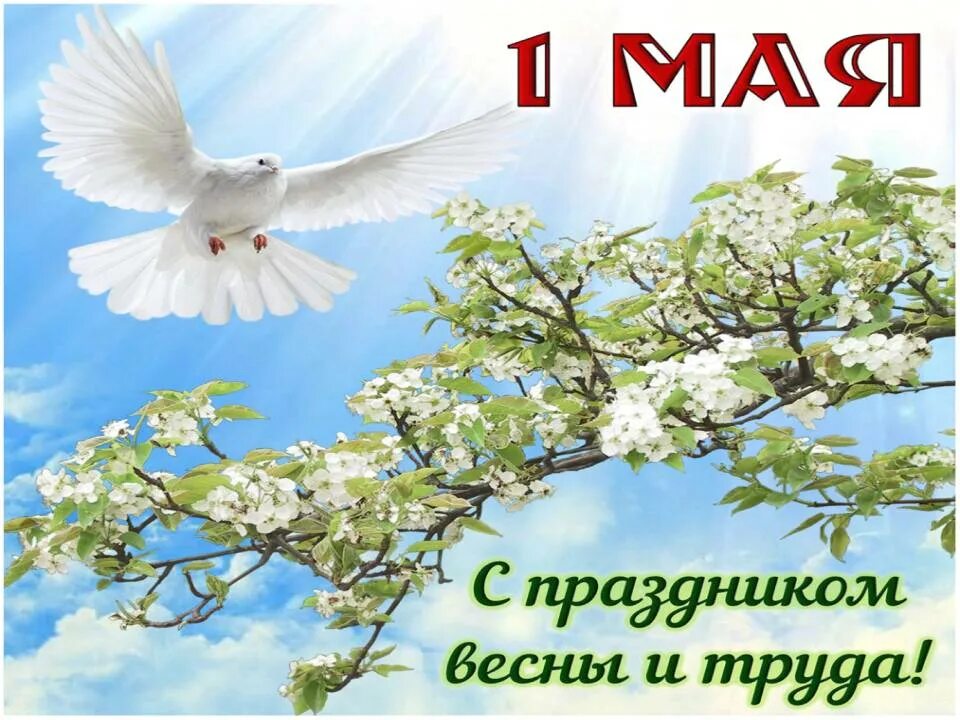 Поздравление с 1 мая. Поздравление с 1 мая. 1 мая праздник весны и труда. 1 мая день весны и труда. 1 мая праздник.