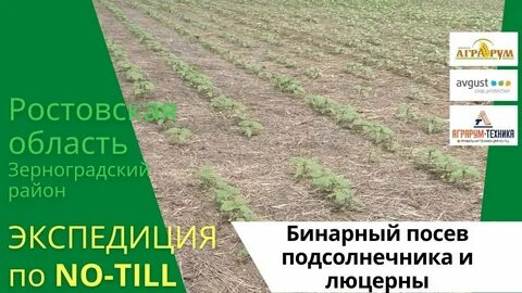 Бинарные посевы