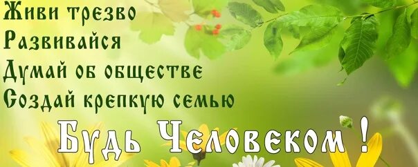 Трезвожить рф. Жить трезво. Баннеры трезвость. Трезвость это Свобода. Живи трезво.