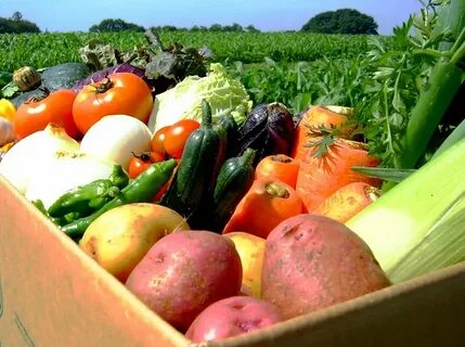 Продукция сельского