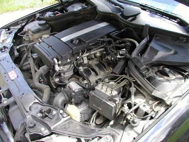 M c 2005