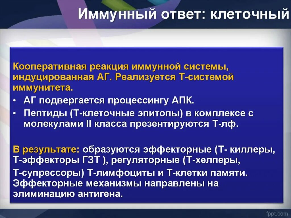 Генетический иммунного ответа. Клеточный иммунный ответ с АПК. Клеточный иммунный ответ. Спонтанный и индуцированный иммунный ответ. АПК клеточная иммунная реакция.