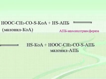 Малонил коа