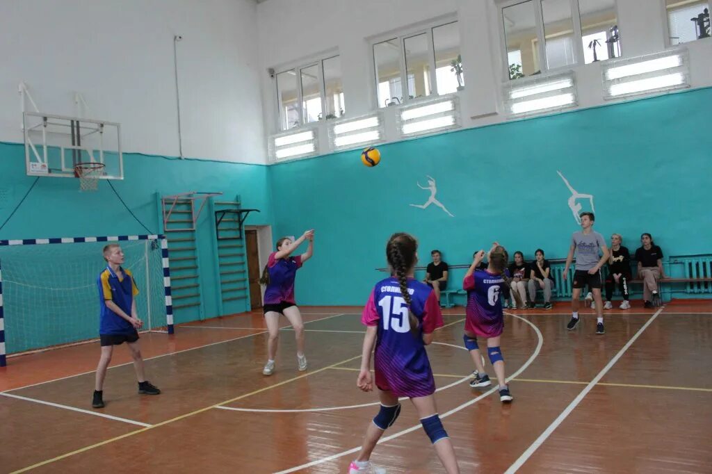 Соревнования по волейболу среди школ. Соревнования по волейболу среди школ 2022. Куньинский район соревнования среди школ.
